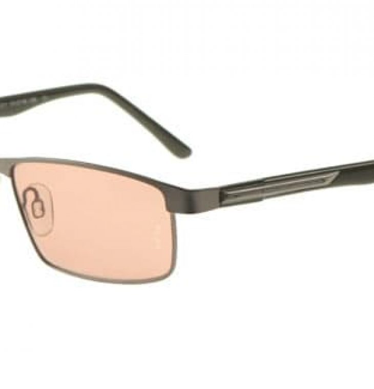 Men's FL-41 glasses