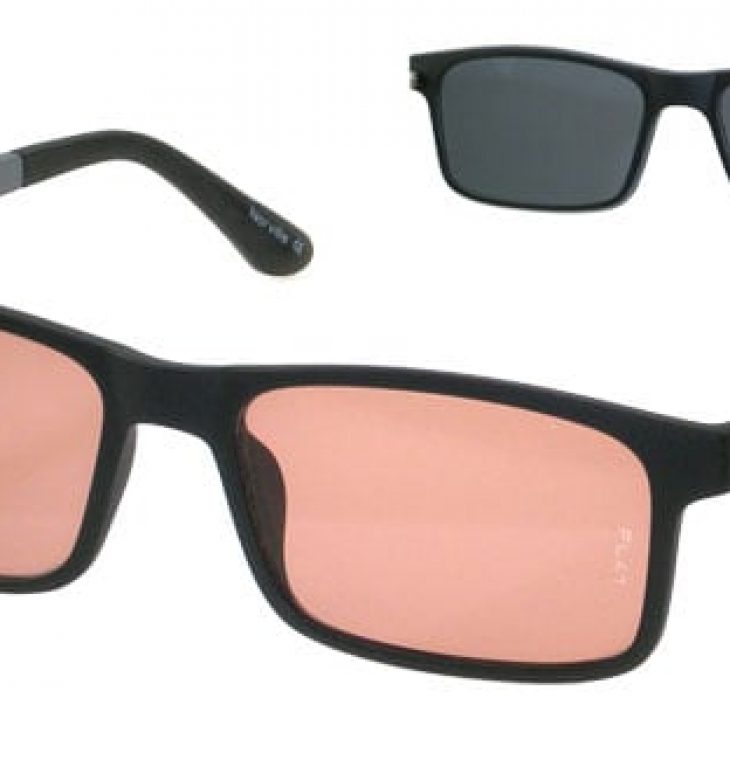 FL-41 with Clip On polarised filter