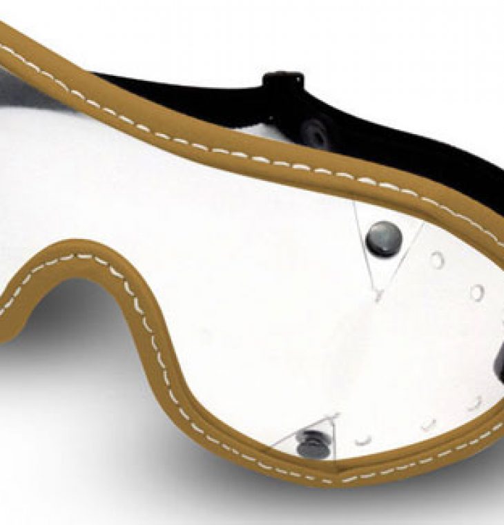 horse riding goggles